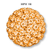 HPV