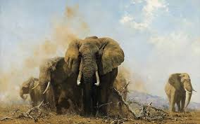 David Shepherd, Elephants