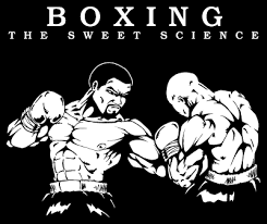 Rough N Tough Boxing