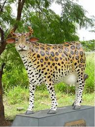 jaguar cheetah