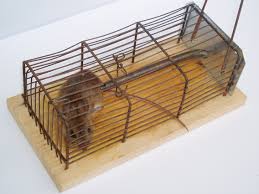 مصيدة الفئران 2005_mousetrap_cage_2