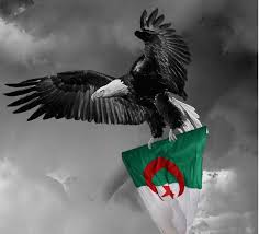 الثورة الجزائرية في 1 نوفمبر 1954 Sakralgriegt5