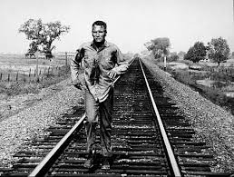 Cool Hand Luke
