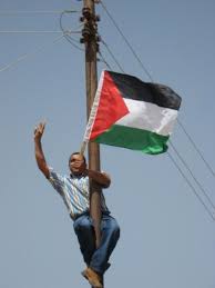 اخبار فلسطين91 400_0___10000000_0_0_0_0_0_aaron_palestine_062.preview1