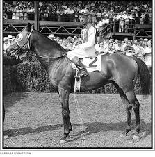 Seabiscuit, Thoroughbred