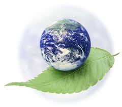 http://t1.gstatic.com/images?q=tbn:RFuVrQpn3zEFoM:http://www.kan2.go.th/hot/earth.jpg