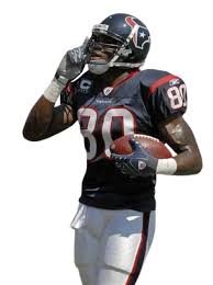 Andre Johnson Image - Andre