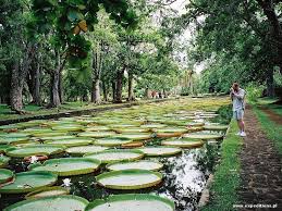 تستطيع أن ترى الصورة بحجمها الطبيعي بعد الضغط عليها تستطيع أن ترى الصورة بحجمها الطبيعي بعد الضغط عليها