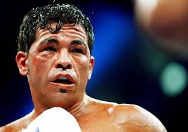 Autopsy suggests boxer Arturo