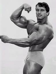 Arnold Schwarzenegger poster