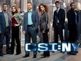 Download CSI NY Episodes