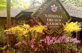orchid gardening