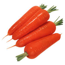 tehran times : Eating carrots