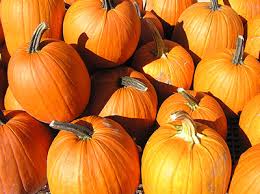pumpkins bend oregon
