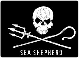 TV: Whale Wars Seasons 1 \x26amp; 2