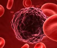 Blood cancer is a malevolent