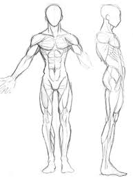 drawing muscles