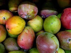 from the African mango