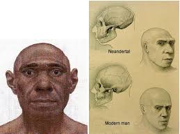TAŞ DEVRİ MAGARA İNSANI Neandertal2-4