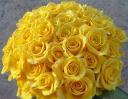 yellow rose bouquet