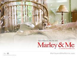 2008 Marley and Me wallpaper
