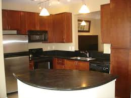 Large Modern Kitchen With Tract Lights Cabinet Space New Appliances