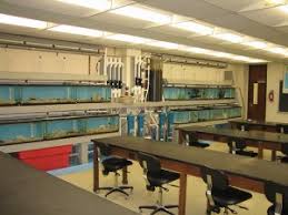 Suffolk Community College wins