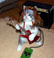 http://t1.gstatic.com/images?q=tbn:iaplOuC8_JDxvM:http://www.funnypictures.net.au/images/jimmy-hendrix-guitar-cat-funny-photos.jpg&t=1