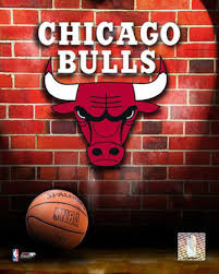 Chicago Bulls Basketball Team