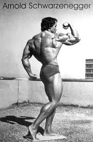 Arnold Bodybuilding Tips by Arnold