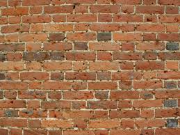 tHE wALL THE WALL