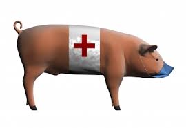 flu babi