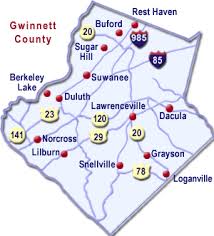 Gwinnett County Information