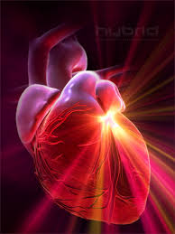 هل تراقب قلبك Heart_attack1