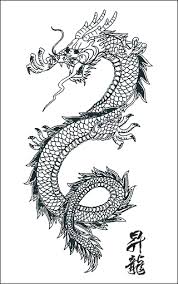 Tattoo Flash Dragon And Skull