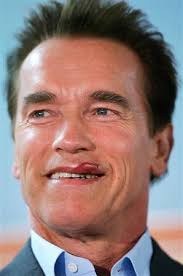 Arnold Schwarzenegger Hot