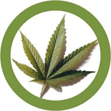 legalizaci%C3%B3n