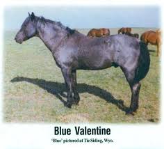 The Blue Valentine Story,