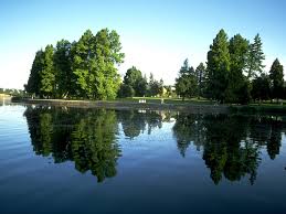 Lakeside park walking trail