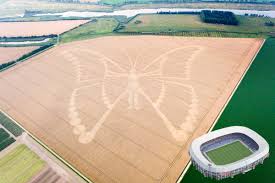 http://t1.gstatic.com/images?q=tbn:s2z9WK1iaCuKfM:http://passion.edu/elearn/file.php/361/Butterfly_Pics/Crop_Circles/Netherlands_Butterfly-Crop-Circle2.jpg&t=1