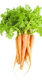 Carrots Vs. Apples
