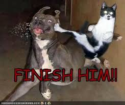 Re: Jim Leavitt is probably