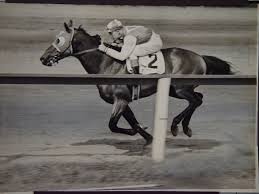 Seabiscuit � Pippins Place