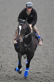 PREP TIME: Zenyatta, exercise