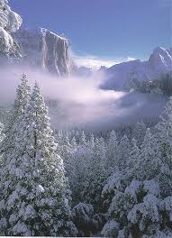 Yosemite Valleys