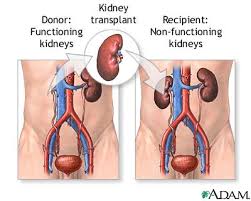kidney failure caused by: