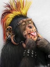 Weird Things Punk-monkey