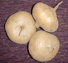 J�cama, or Mexican Turnips