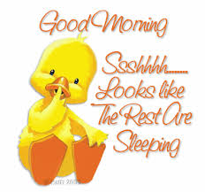 GoodMorningDuckie.gif&t=1