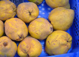 Afficher l'image en taille relle